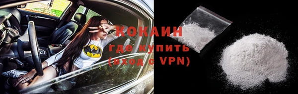 ПСИЛОЦИБИНОВЫЕ ГРИБЫ Заволжье
