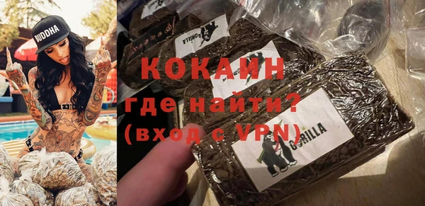 ПСИЛОЦИБИНОВЫЕ ГРИБЫ Заволжье