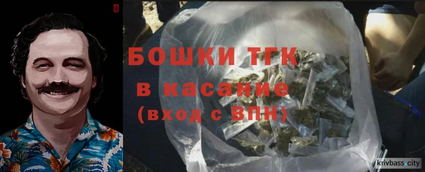 ПСИЛОЦИБИНОВЫЕ ГРИБЫ Заволжье
