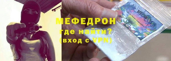 стаф Ельня