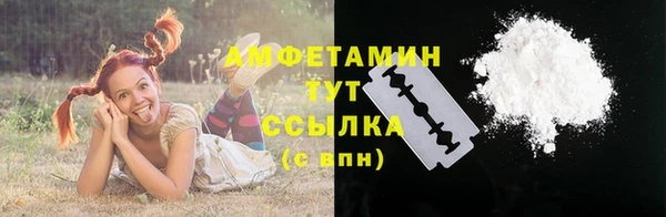 ПСИЛОЦИБИНОВЫЕ ГРИБЫ Заволжье