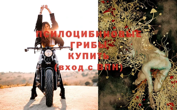 ПСИЛОЦИБИНОВЫЕ ГРИБЫ Заволжье